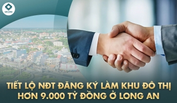 Đại gia Gỗ An Cường muốn làm khu đô thị hơn 9000 tỷ đồng ở Long An