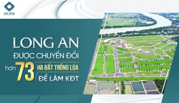 Long An được chuyển đổi hơn 73 ha đất trồng lúa để làm KĐT hơn 4000 tỷ đồng