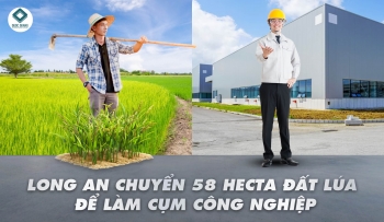 Long An được chuyển gần 58 ha đất lúa để làm khu dân cư cụm công nghiệp