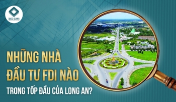 Những nhà đầu tư FDI nào trong tốp đầu của Long An?