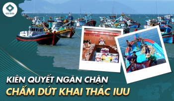 KIÊN QUYẾT NGĂN CHẶN, CHẤM DỨT KHAI THÁC IUU