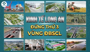 Tốc độ tăng trưởng kinh tế tỉnh Long An đứng thứ 3 vùng ĐBSCL