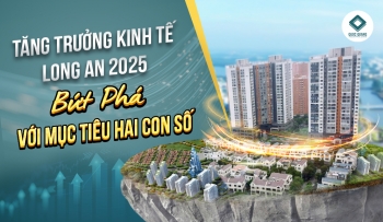 Tăng Trưởng Kinh Tế Long An 2025