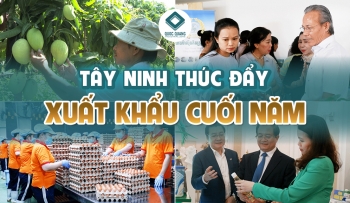 TÂY NINH THÚC ĐẨY XUẤT KHẨU CUỐI NĂM