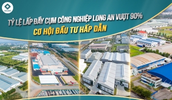 Tỷ Lệ Lấp Đầy Cụm Công Nghiệp Long An Vượt 90%